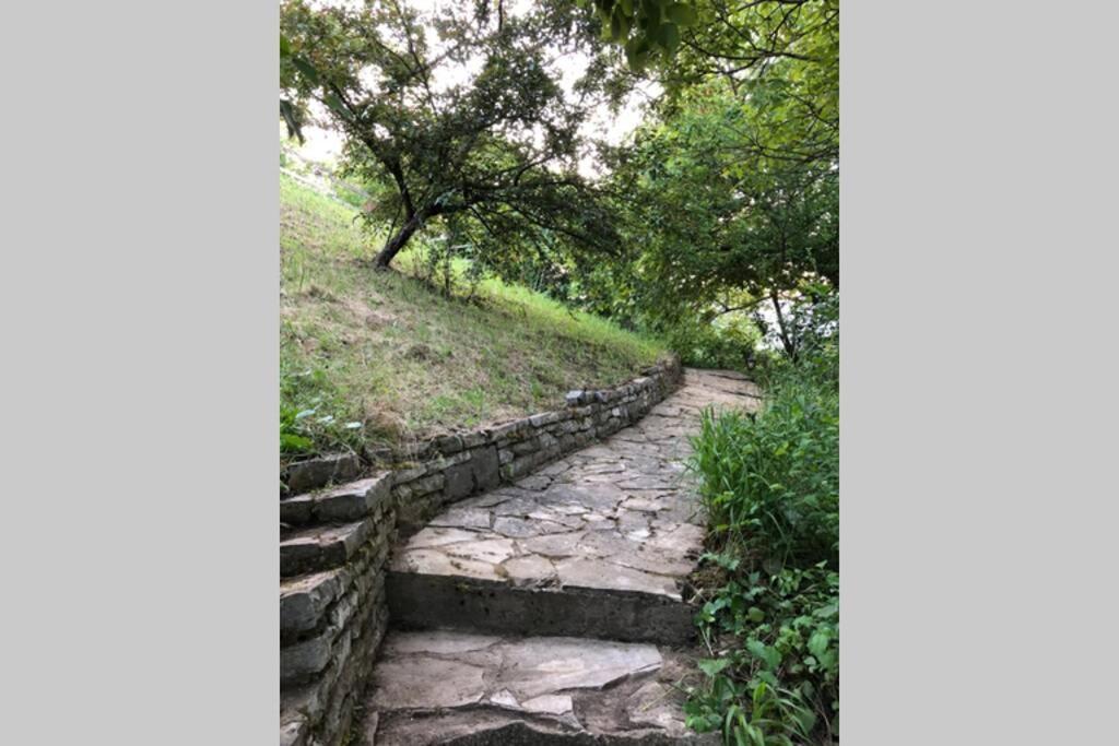 Villa Kornelija Stari Slankamen 外观 照片