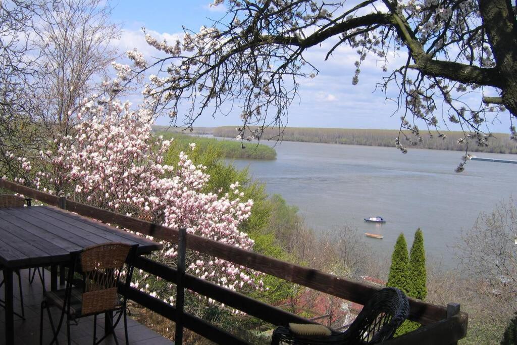 Villa Kornelija Stari Slankamen 外观 照片