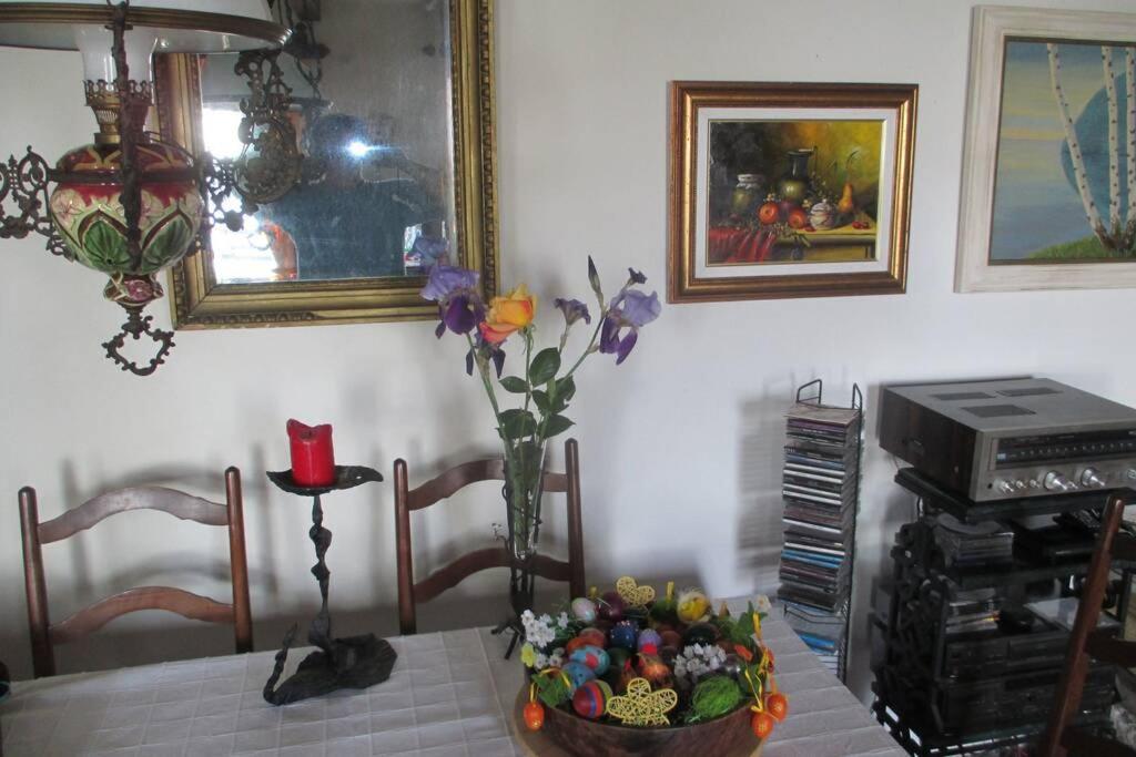 Villa Kornelija Stari Slankamen 外观 照片