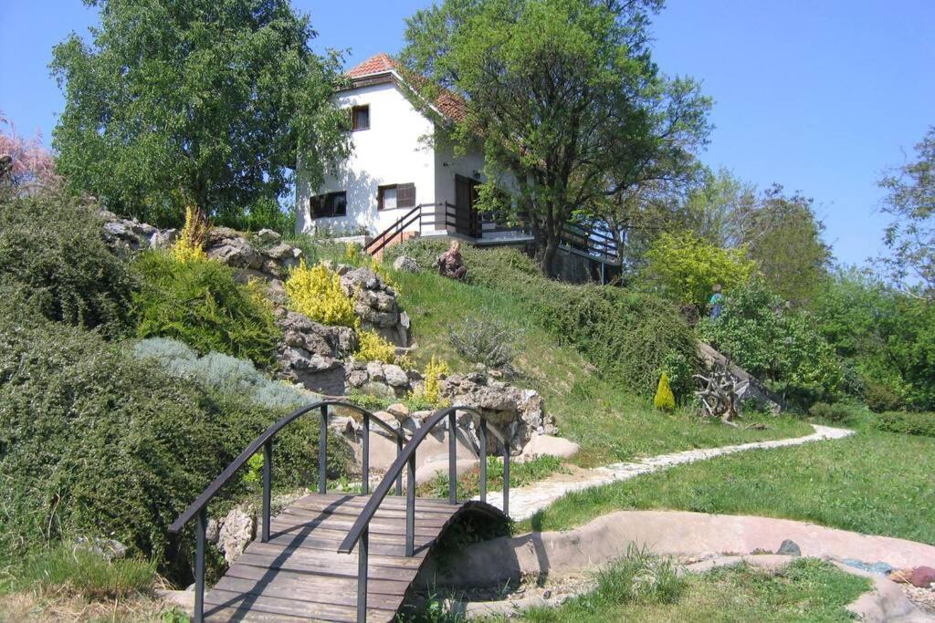 Villa Kornelija Stari Slankamen 外观 照片