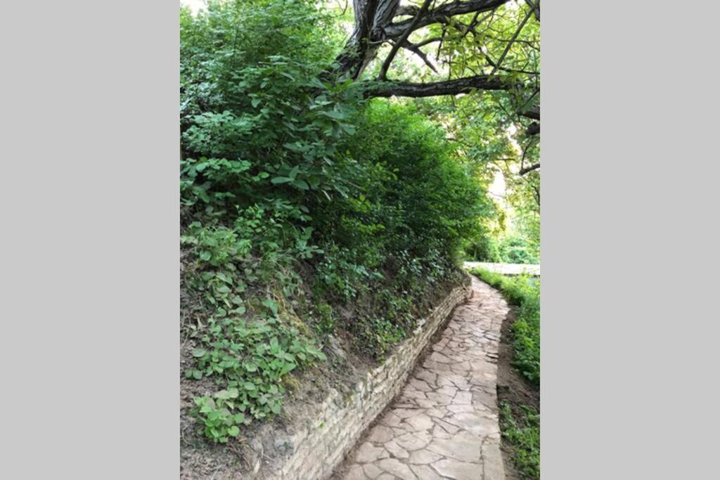 Villa Kornelija Stari Slankamen 外观 照片
