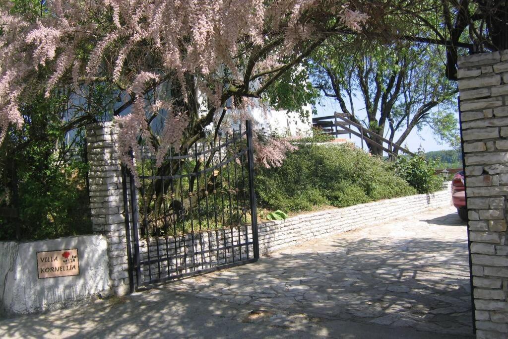 Villa Kornelija Stari Slankamen 外观 照片