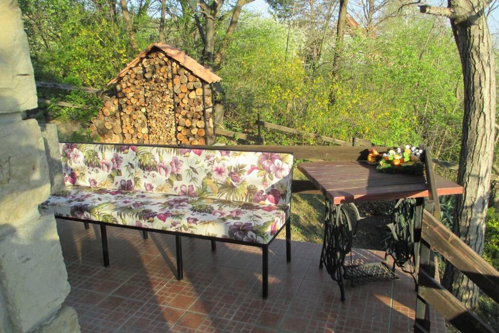 Villa Kornelija Stari Slankamen 外观 照片