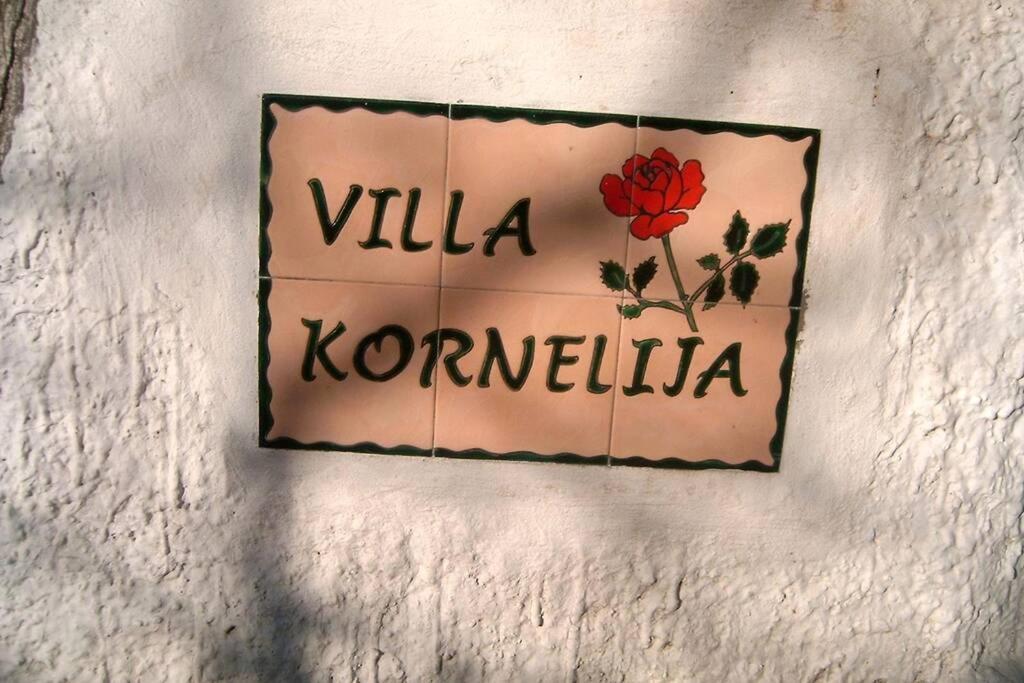 Villa Kornelija Stari Slankamen 外观 照片