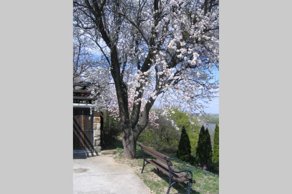 Villa Kornelija Stari Slankamen 外观 照片